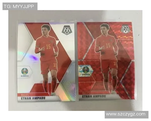 足球卡片收藏热潮四大球星卡帕尼尼珍藏价值解析