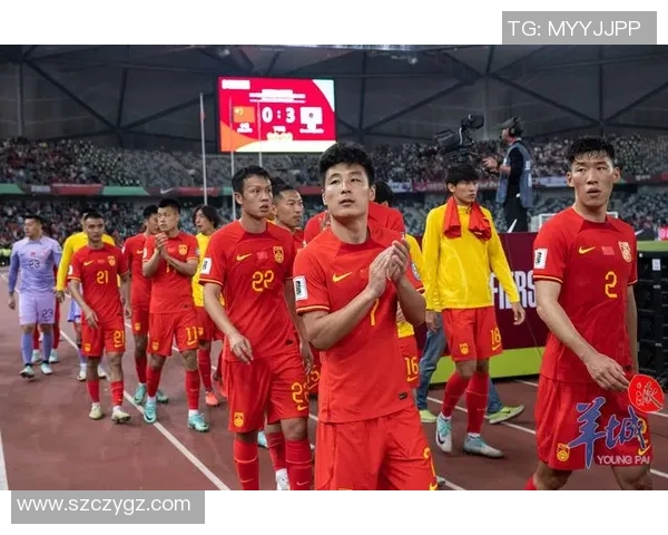 投靠韩国国足的前中国足球明星揭秘与背后动机分析