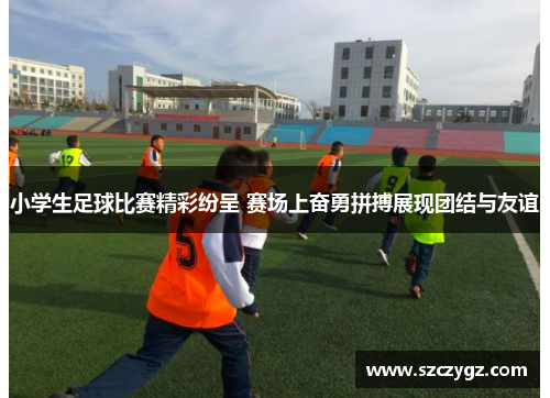 小学生足球比赛精彩纷呈 赛场上奋勇拼搏展现团结与友谊