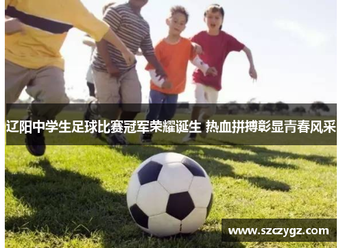 辽阳中学生足球比赛冠军荣耀诞生 热血拼搏彰显青春风采