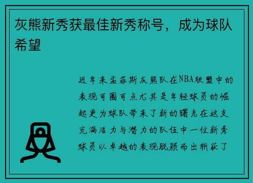 灰熊新秀获最佳新秀称号，成为球队希望