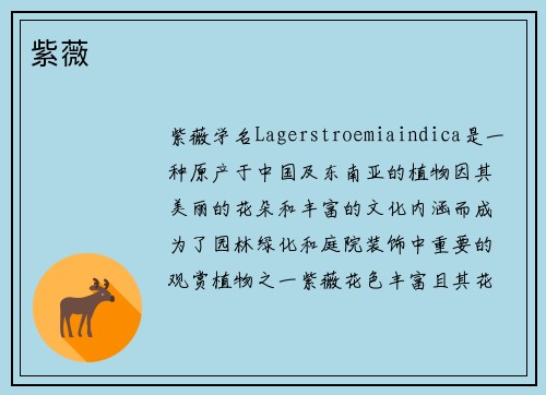 紫薇